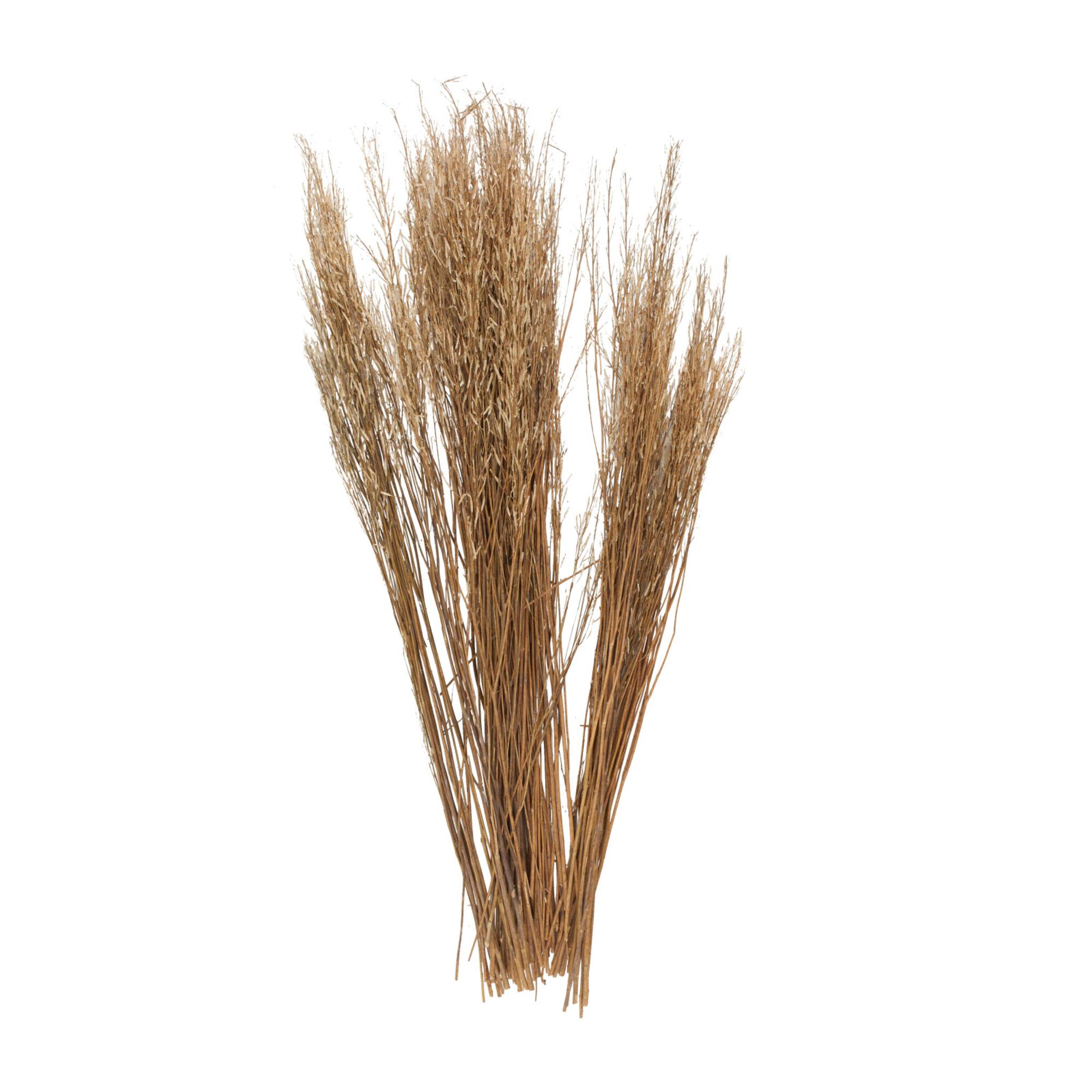 42" Brown Dried Natural Mustard Plant Foliage